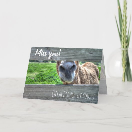 Funny Donkey "I Miss You" Leere Dankeskarte (Vorderseite)