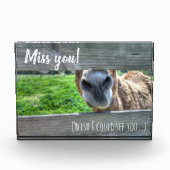 Funny Donkey Miss Sie wollen, dass ich Sie sehen k Fotoblock (Vorderseite)