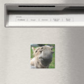 Funny Donkey Nah hoch Magnet (In Situ (Geschirrspüler))