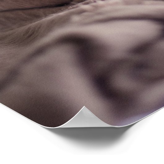 Funny Doster Poster (Ecke)