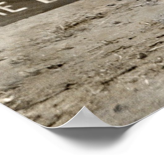 Funny Doster Poster (Ecke)