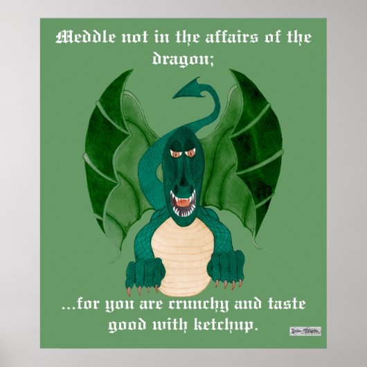 Funny Dragon Poster (Vorne)