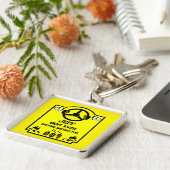 Funny Driving Instructor Gift Schlüsselanhänger (Seite)