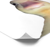 Funny Duck Meme – “Welcome to My Crib” Cute Animal Poster (Ecke)