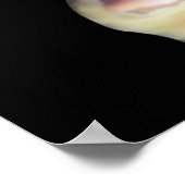 Funny Duck Meme: Willkommen bei My Crib Duck Poster (Ecke)