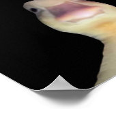 Funny Duck Meme: Willkommen bei My Crib Duck Poster (Ecke)