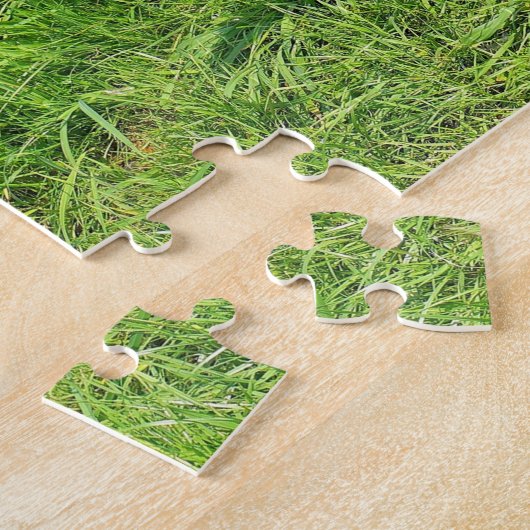 Funny Ducks Puzzle (Seite)