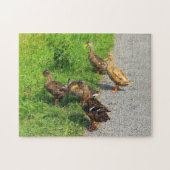 Funny Ducks Puzzle (Horizontal)