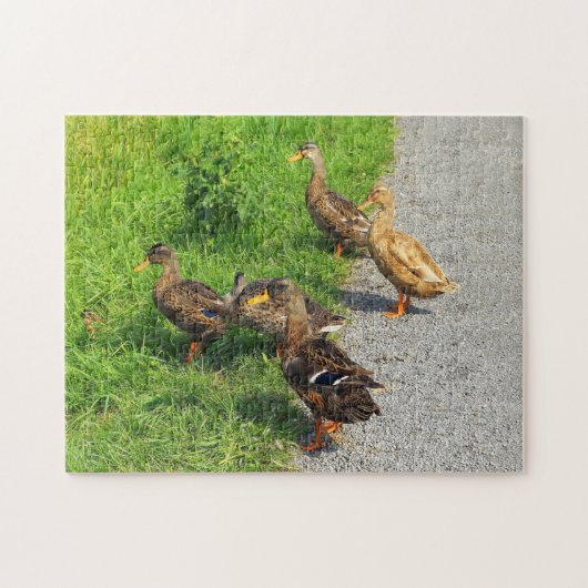 Funny Ducks Puzzle (Horizontal)