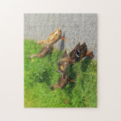 Funny Ducks Puzzle (Vertikal)