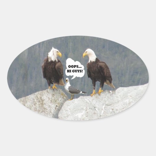 Funny Eagles und Seagull Ovaler Aufkleber (Vorderseite)