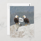 Funny Eagles und Seagull Postkarte (Vorne/Hinten)
