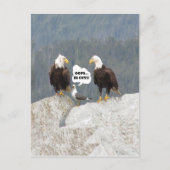 Funny Eagles und Seagull Postkarte (Vorderseite)