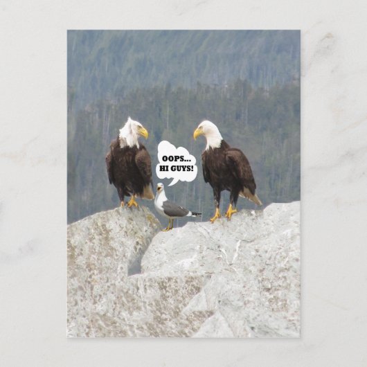 Funny Eagles und Seagull Postkarte (Vorderseite)