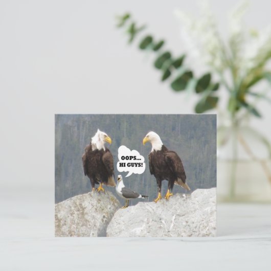 Funny Eagles und Seagull Postkarte (Stehend Vorderseite)