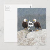 Funny Eagles und Seagull Postkarte (Vorne/Hinten)