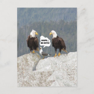 Funny Eagles und Seagull Postkarte