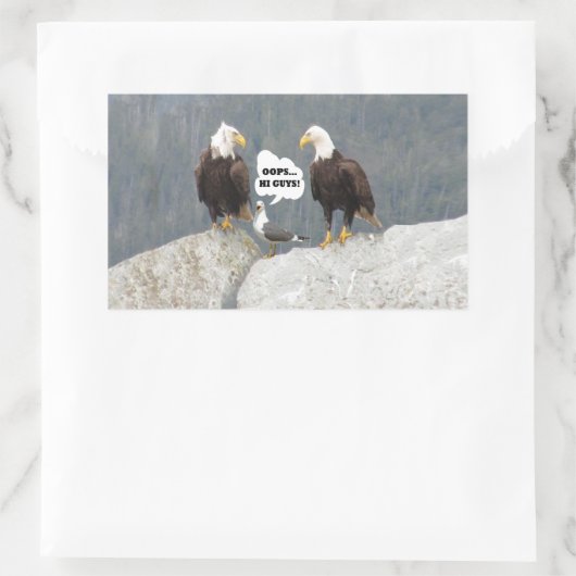 Funny Eagles und Seagull Rechteckiger Aufkleber (Tasche)