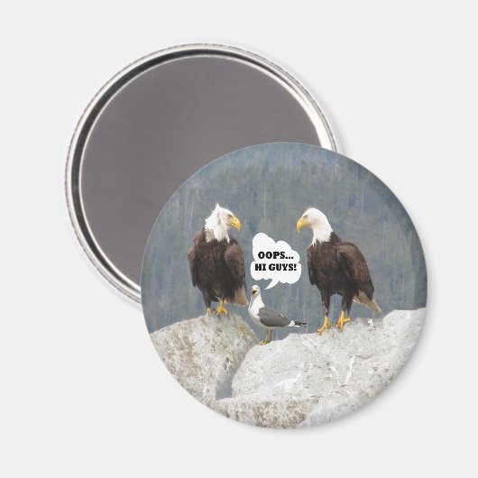 Funny Eagles und Seagull Round Magnet (Vorderseite/Rückseite)