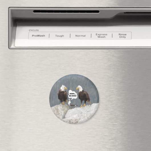 Funny Eagles und Seagull Round Magnet (In Situ (Geschirrspüler))