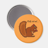 Funny Eichhörnchen Fluffy aber böse... Magnet (Vorderseite/Rückseite)