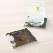 Funny Eichhörnchen Foto Nah Glasuntersetzer (Schrägansicht)