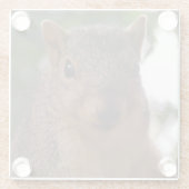 Funny Eichhörnchen Foto Nah Glasuntersetzer (Rückseite)