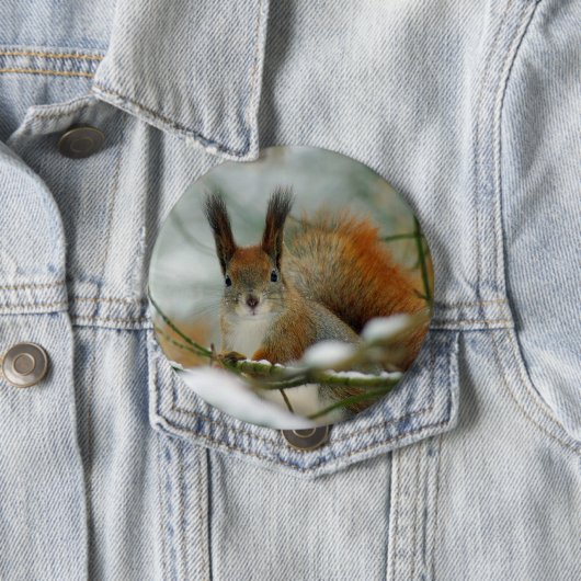 Funny Eichhörnchen im Winter Button (Beispiel)