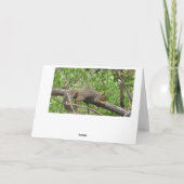 Funny Eichhörnchen machen Leben zu einer besseren  Karte (Rückseite)