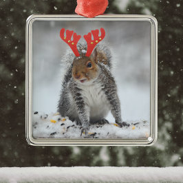 Funny Eichhörnchen mit Fake Antlers Christmas Name Ornament Aus Metall