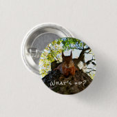 Funny Eichhörnchen Niedlicher Tiere Hallo da Button (Vorne & Hinten)