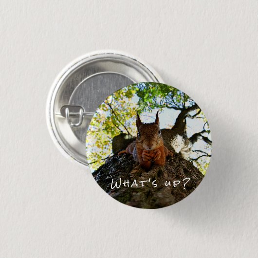 Funny Eichhörnchen Niedlicher Tiere Hallo da Button (Vorne & Hinten)