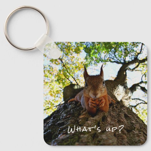 Funny Eichhörnchen Niedlicher Tiere Hallo da Schlüsselanhänger (Vorderseite)