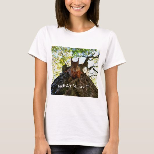 Funny Eichhörnchen Niedlicher Tiere Hallo da T-Shirt (Vorderseite)