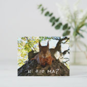 Funny Eichhörnchen Niedlicher Tiere Hallo Von Hi C Postkarte (Stehend Vorderseite)