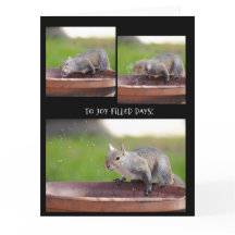 Funny Eichhörnchen Ruhestand von der Gang