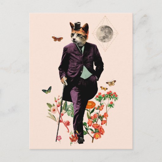 Funny Elegant Cat Postkarte (Vorderseite)