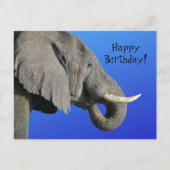 Funny Elephant Age irrelevant Blue Happy Birthday Postkarte (Vorderseite)
