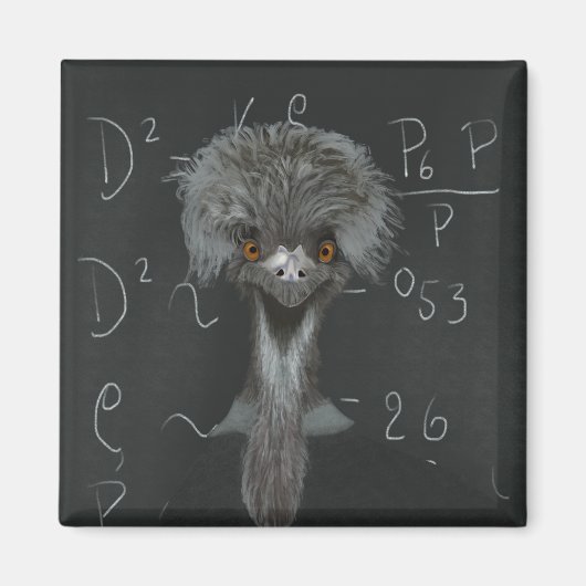 Funny Emu Einstein Magnet (Vorne)