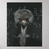Funny Emu Einstein Poster (Vorne)