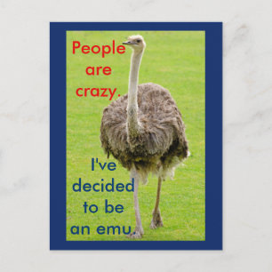 Funny Emu Postcard Postkarte