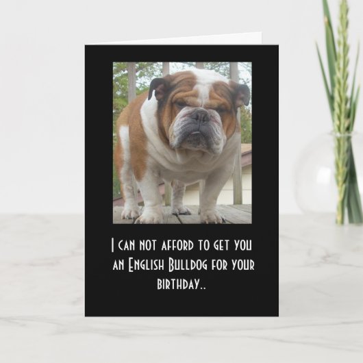Funny English Bulldog Birthday Card Karte (Vorderseite)