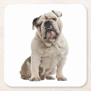 Funny English Bulldog Gaben Welpe Dog Lover Rechteckiger Pappuntersetzer