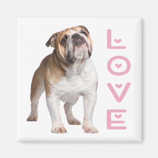Funny English Bulldog Mom Love Puppy Dog  Magnet (Vorne)