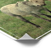 Funny Equines Poster (Ecke)