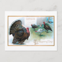 Funny Erntedank Truthähne Lesen Proklamation