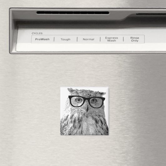 Funny Eule Magnet | Vogel mit Brille (In Situ (Geschirrspüler))