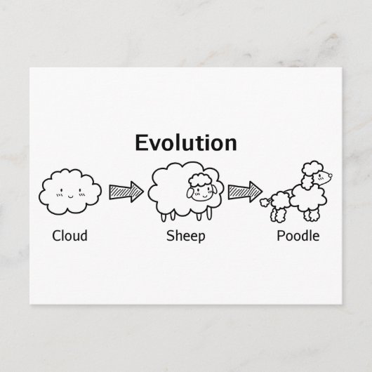 Funny evolution of cloud into sheep and poodle postkarte (Vorderseite)