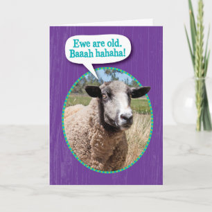 Funny Ewe Old Sheep Shot Geburtstag Karte
