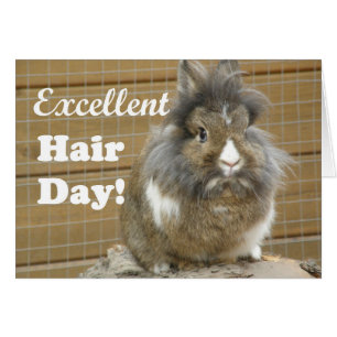 Funny "Excellence Hair Day" für Kaninchen